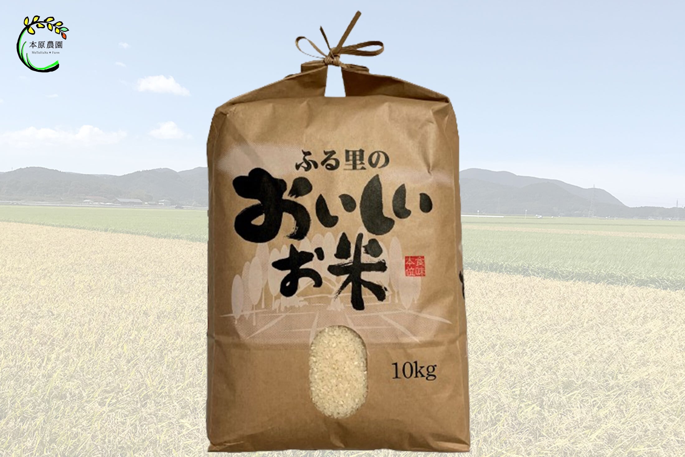令和5年産】コシヒカリ 10kg 白米 | motoharafarm 令和5年産】コシヒカリ 10kg 白米 | motoharafarm