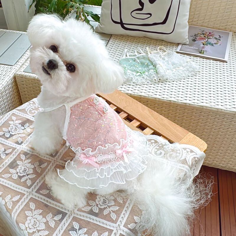 シースルーキャミソールワンピース 犬服 00152