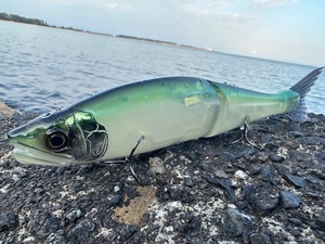 【GAN CRAFT】JOINTED CLAW  Magnum 230S "FL CLEAR"