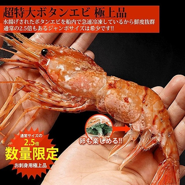 特大 牡丹海老 刺身用 500g 8尾前後