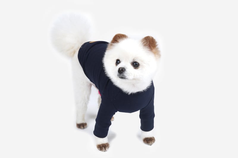 basic t-shirt S ~ 3XL 4color / 犬服 シンプル 無印 Tシャツ 小型犬 中型犬 大型犬 ペット ドッグウェア 部屋着 長袖 トップス cotton top10