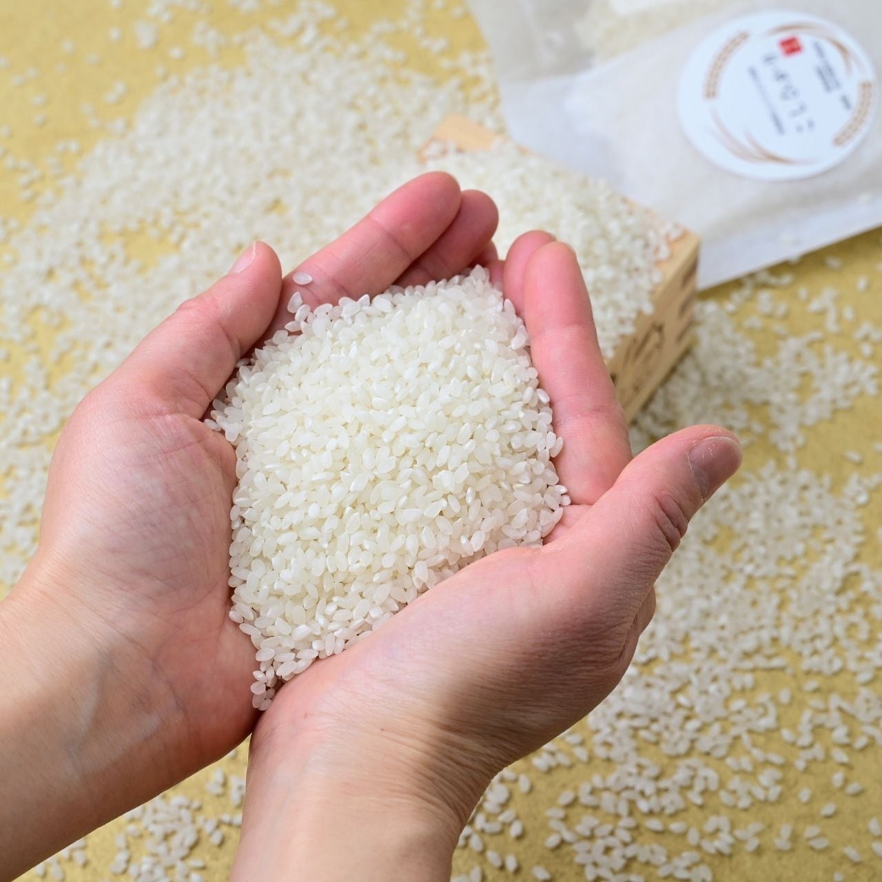 令和7年産 コシヒカリ 白米 600g | KTP Nature Farm