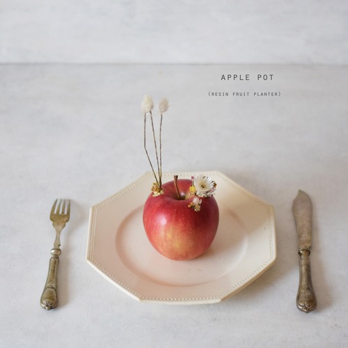 apple pot（ドライフラワー）
