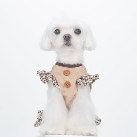 チェックと木漏れ日のリボンドレス 00526