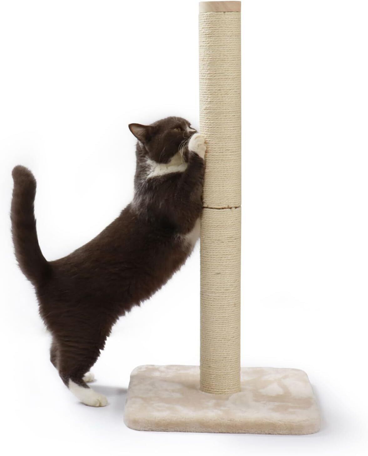 ファルミナ猫 ベーシックチキン&ターキー成猫用10kg ファルミナペットフーズ・ジャパン株式会社 - - - N&D プライム チキン