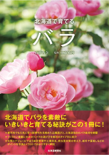 ノイバラ（トゲ無し、蕾ピンク）（長尺） | PAY ID