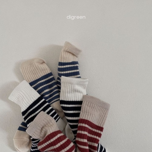 【予約　2024 spring】wally socks 3pcs set〔ウォーリーソックス3足セット〕　digreen