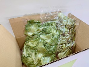 レタス2種セット 500g+350g