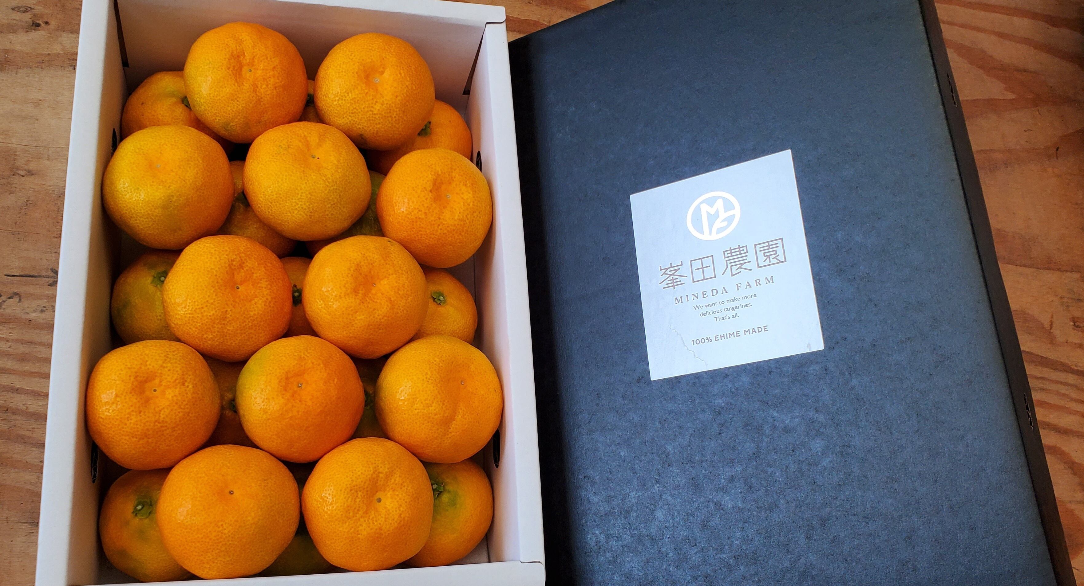 ハウスみかんの特長〜みねちゃんSTORY〜 | みねちゃんちのみかん