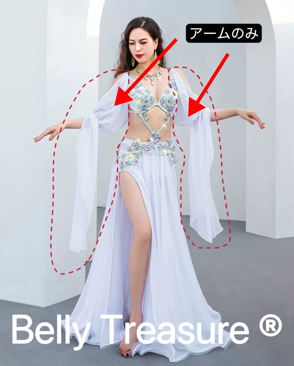 ベリーダンス衣装 BANU ROSA アームつき Goods & Fashion | Krania