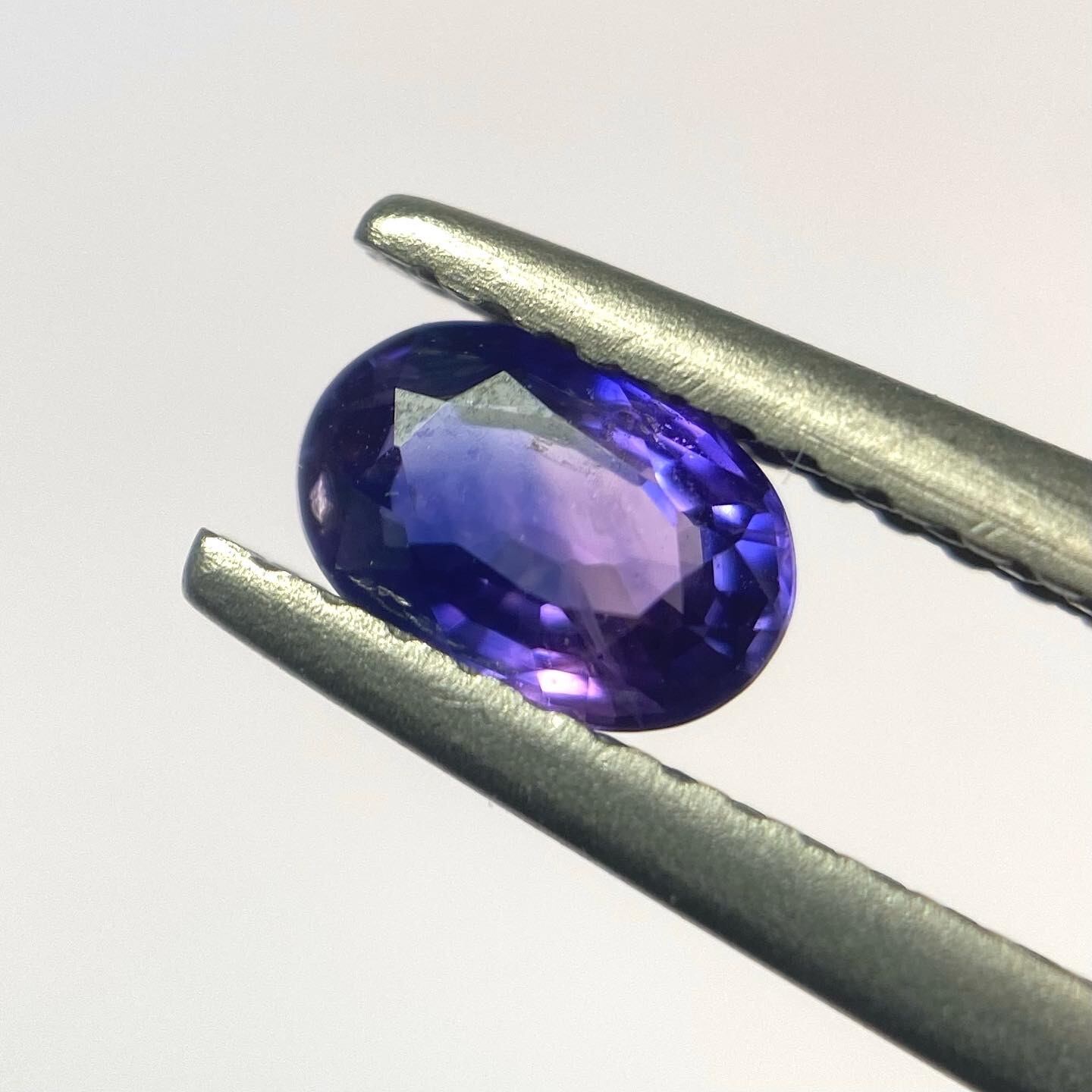 ハナショウブ バイカラーサファイア