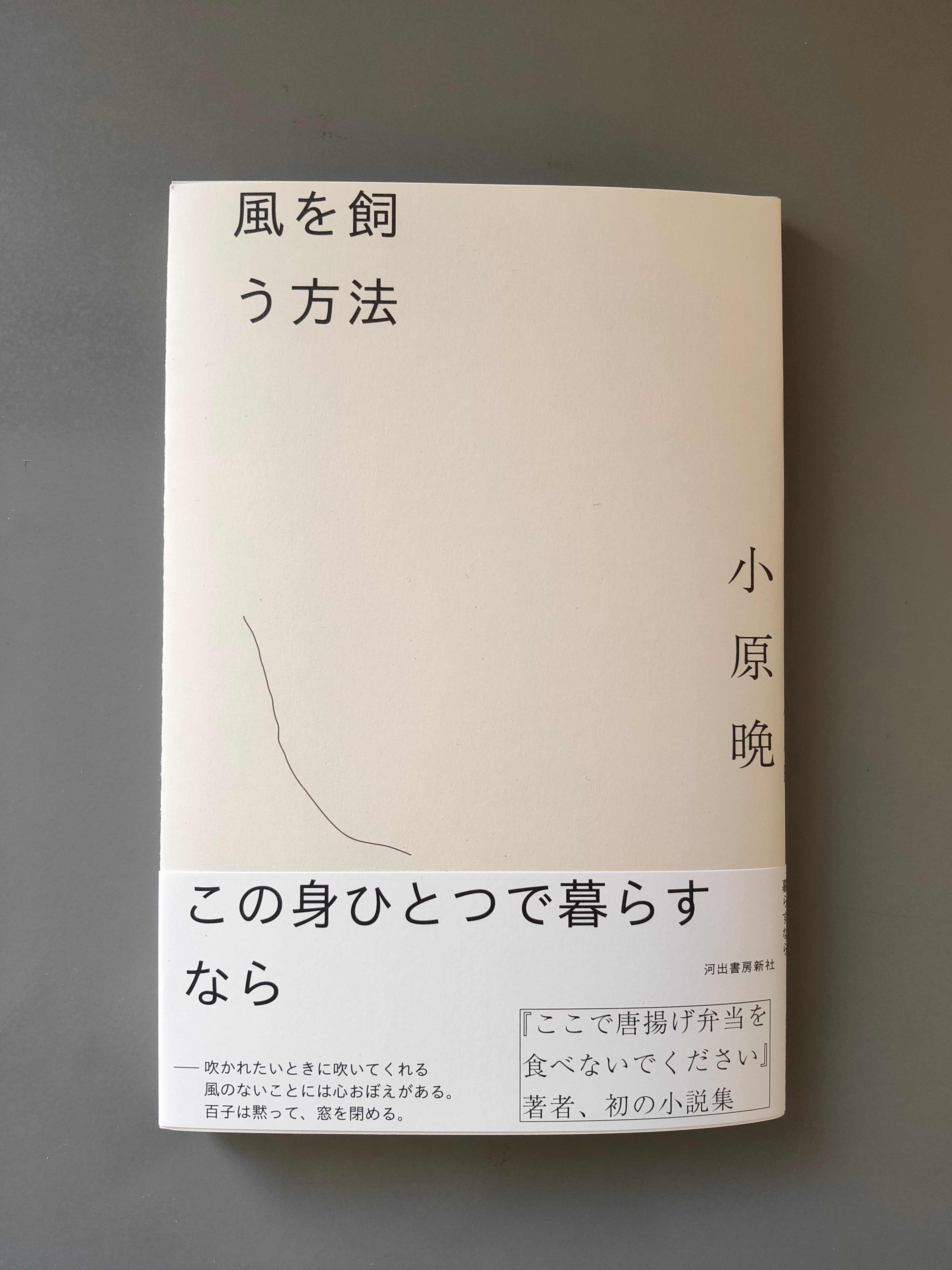 馬場あき子全集 (第10巻) 短歌論・実作入門【月報付き】 馬場あき子歌集【新装版】（短歌研究文庫 13） | 馬場 あき子 |本