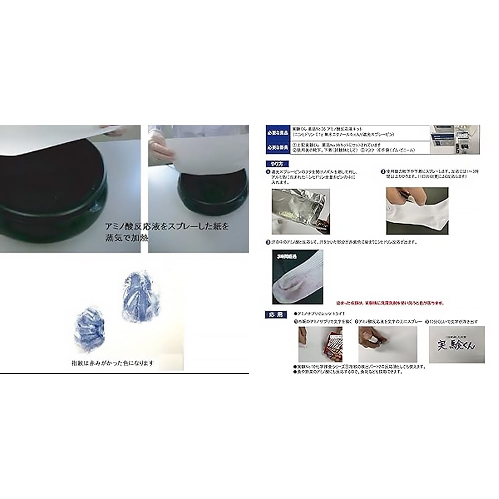 実験くん No.36 アミノ酸反応液キット おもしろ実験 理科 化学 STEM