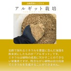 完熟アルギット不知火(露地)約1.5kg 【2月中・下旬頃～発送予定】