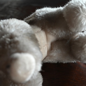 Stuffed Toy  / ぬいぐるみ〈 犬・プードル・シュタイフ・オブジェ・ディスプレイ・アンティーク・ヴィンテージ 〉