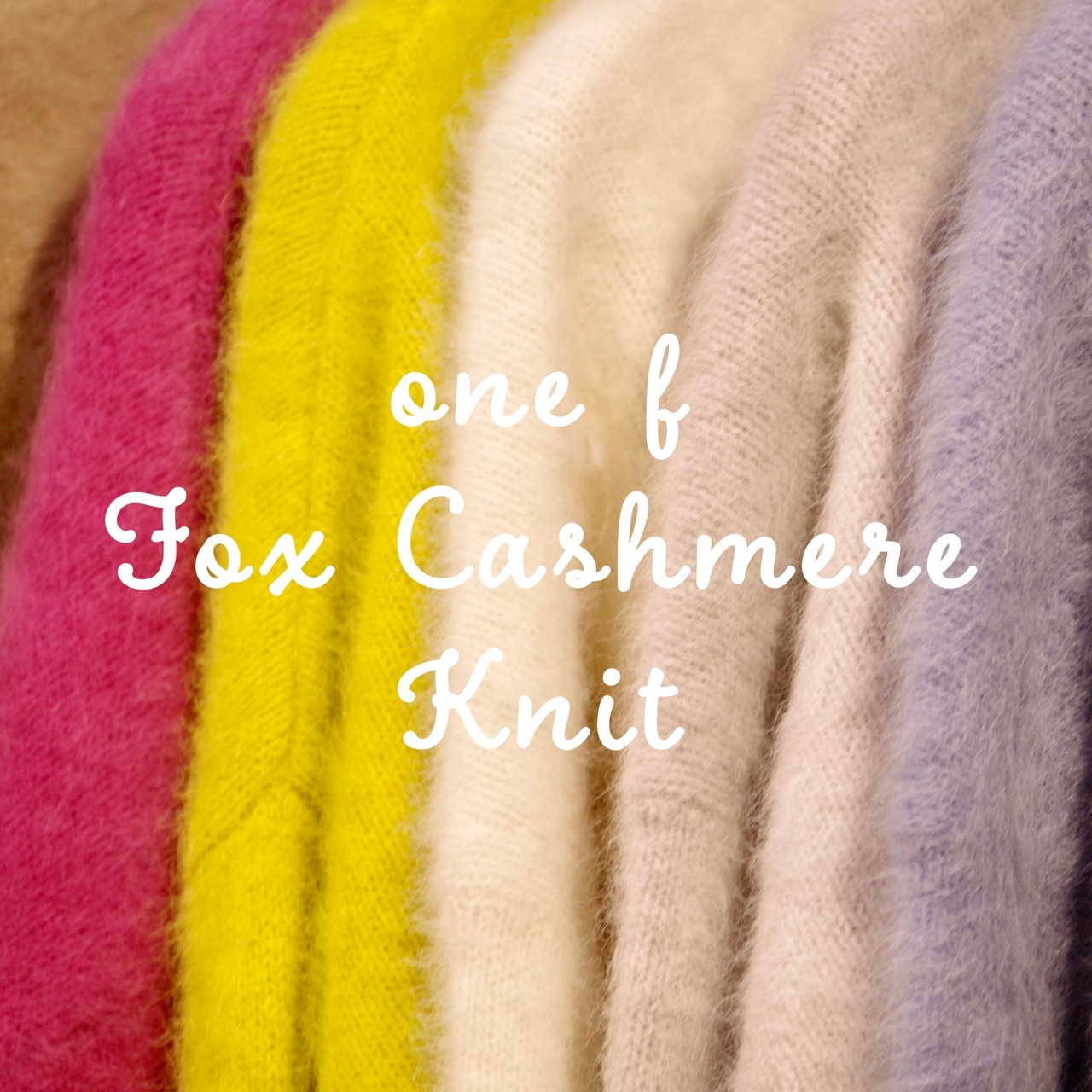 one f Fox Cashmere Short C/D "PURPLE"