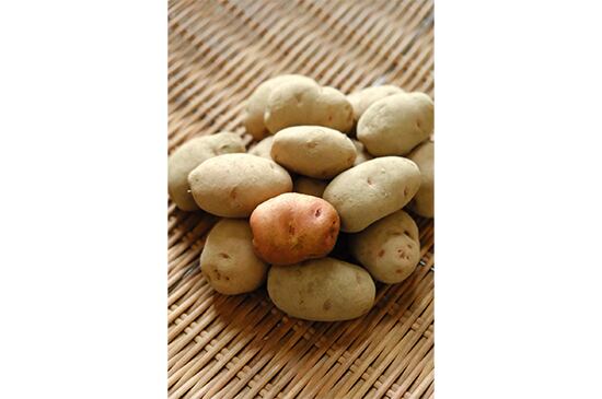 【丹波山村在来種】落合いも・300g