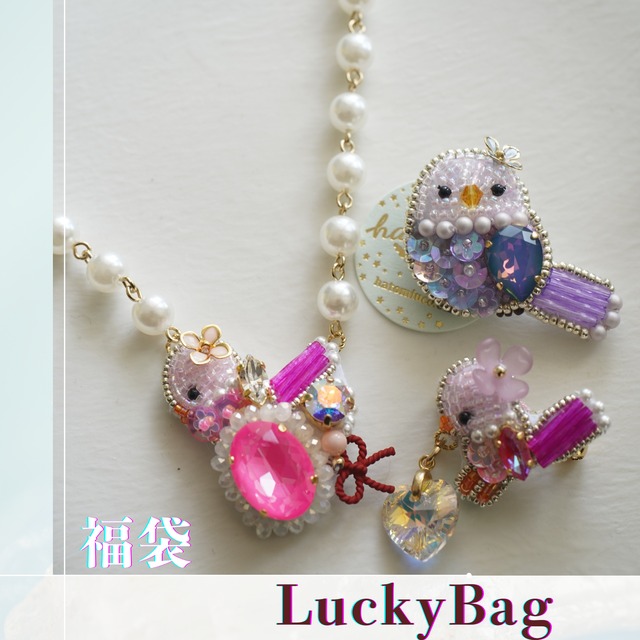 【8/10 21:00】 happy bag ¥8100 set2