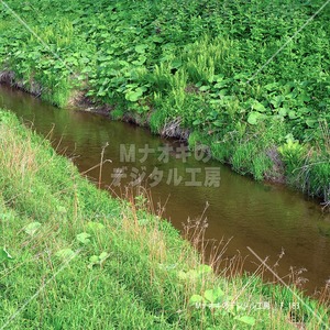 春のまっすぐな小川（釧路町）　Straight stream in spring (Kushiro Town)