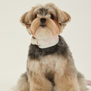 【予約】[ thesallyslaw ] Bailey cushioning collar｜Strawberry Blush