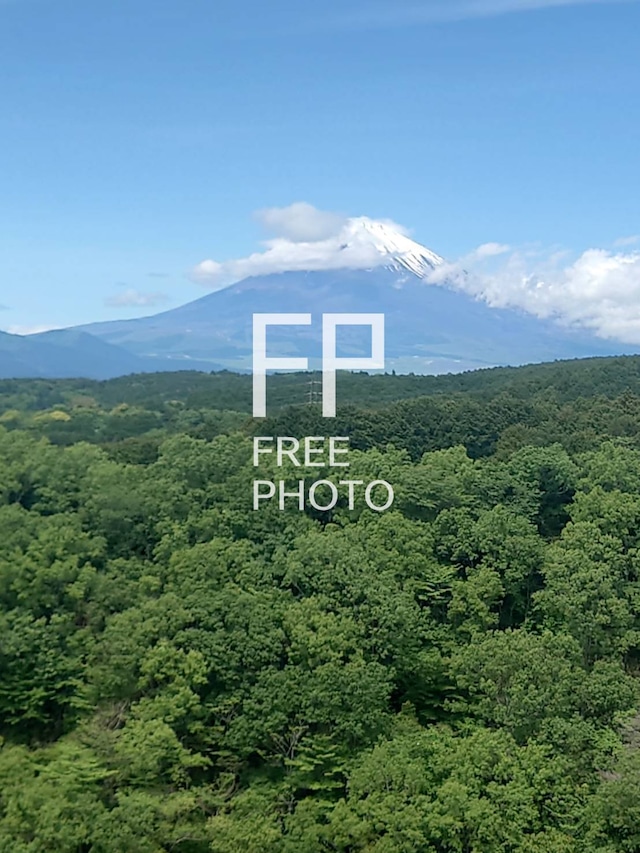富士山