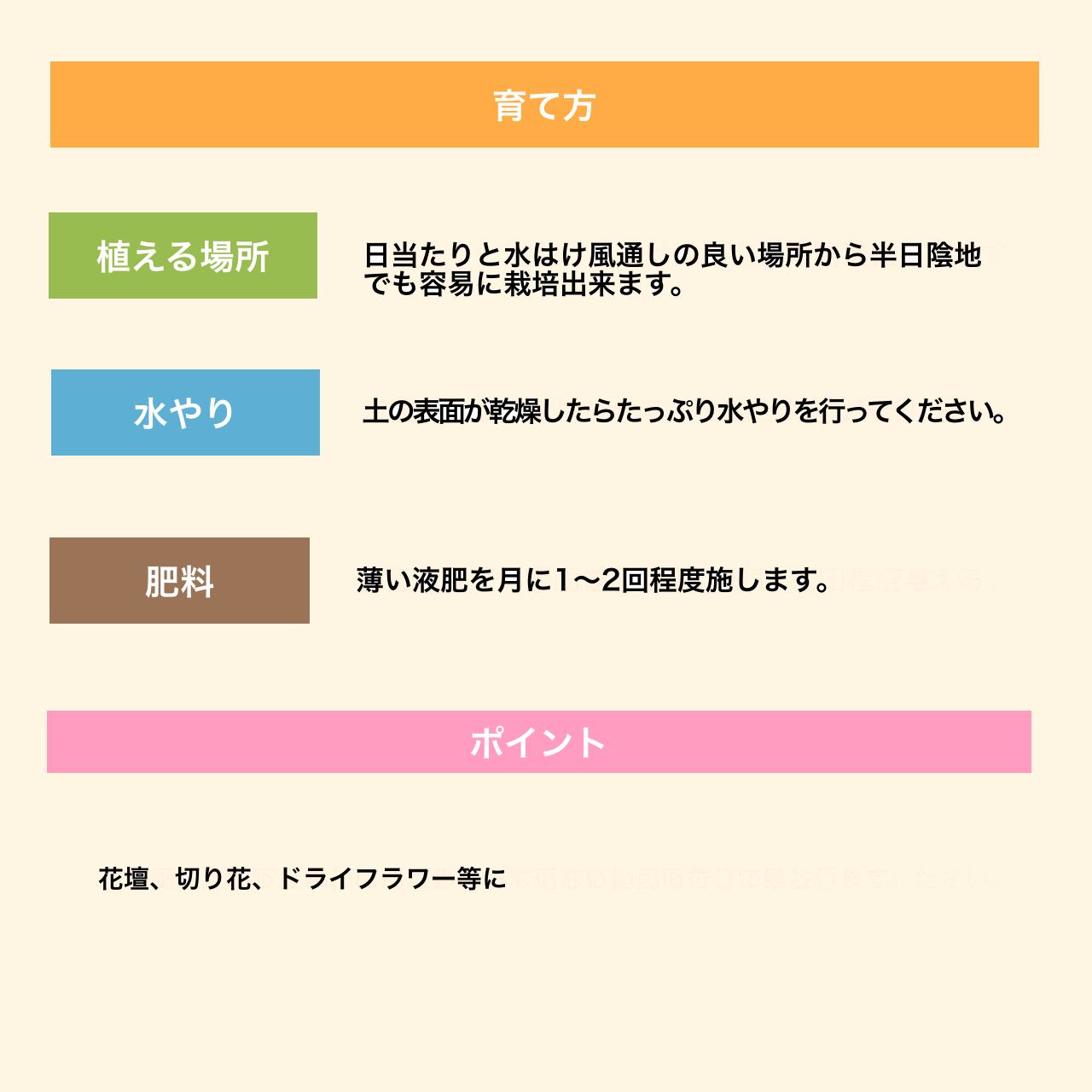 ハーブ 種 ヤロウレッド ハーブガーデン