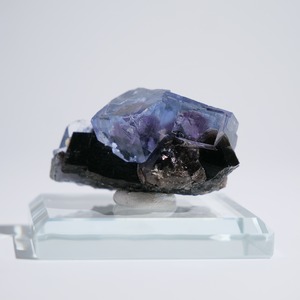 フローライト 共生 中国・ヤオガンシャン産 / 原石 標本【F_2】