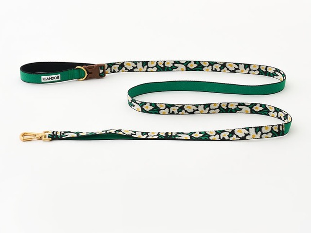 ※即納【ICANDOR】GENTLE LEASH BOLT_BIG FISH　2ｍ