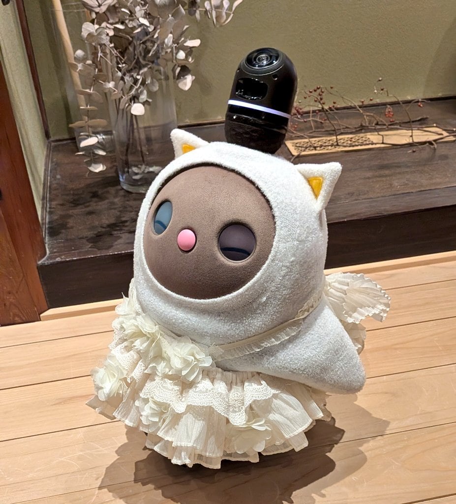 LOVOT花と蝶ピンクチュールドレス | らぼ服ファッショングッズのお店