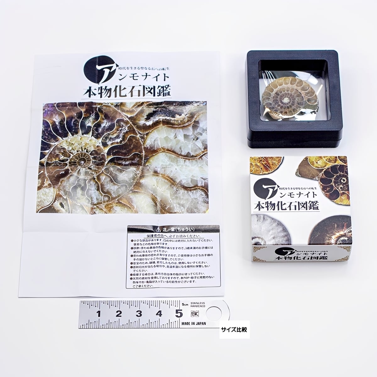 アンモナイト本物化石図鑑 【全1種＋DPディスプレイ台紙おまけ付き