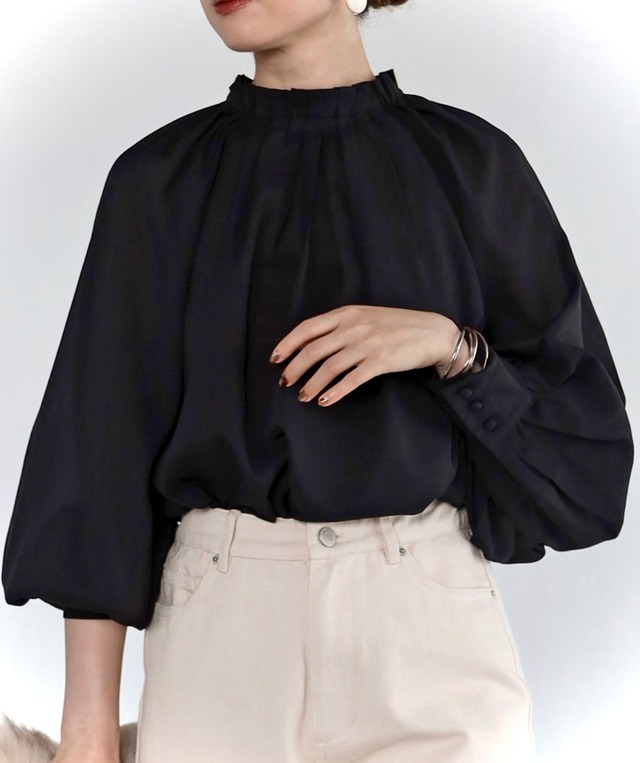 ボリュームスリーブシアーブラウス