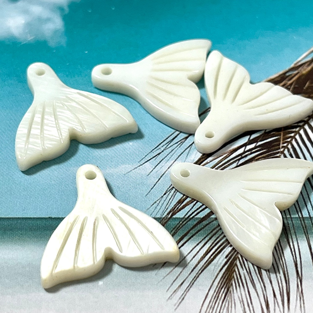 淡水シェルホエールテールチャーム /パーツ/クジラ/貝