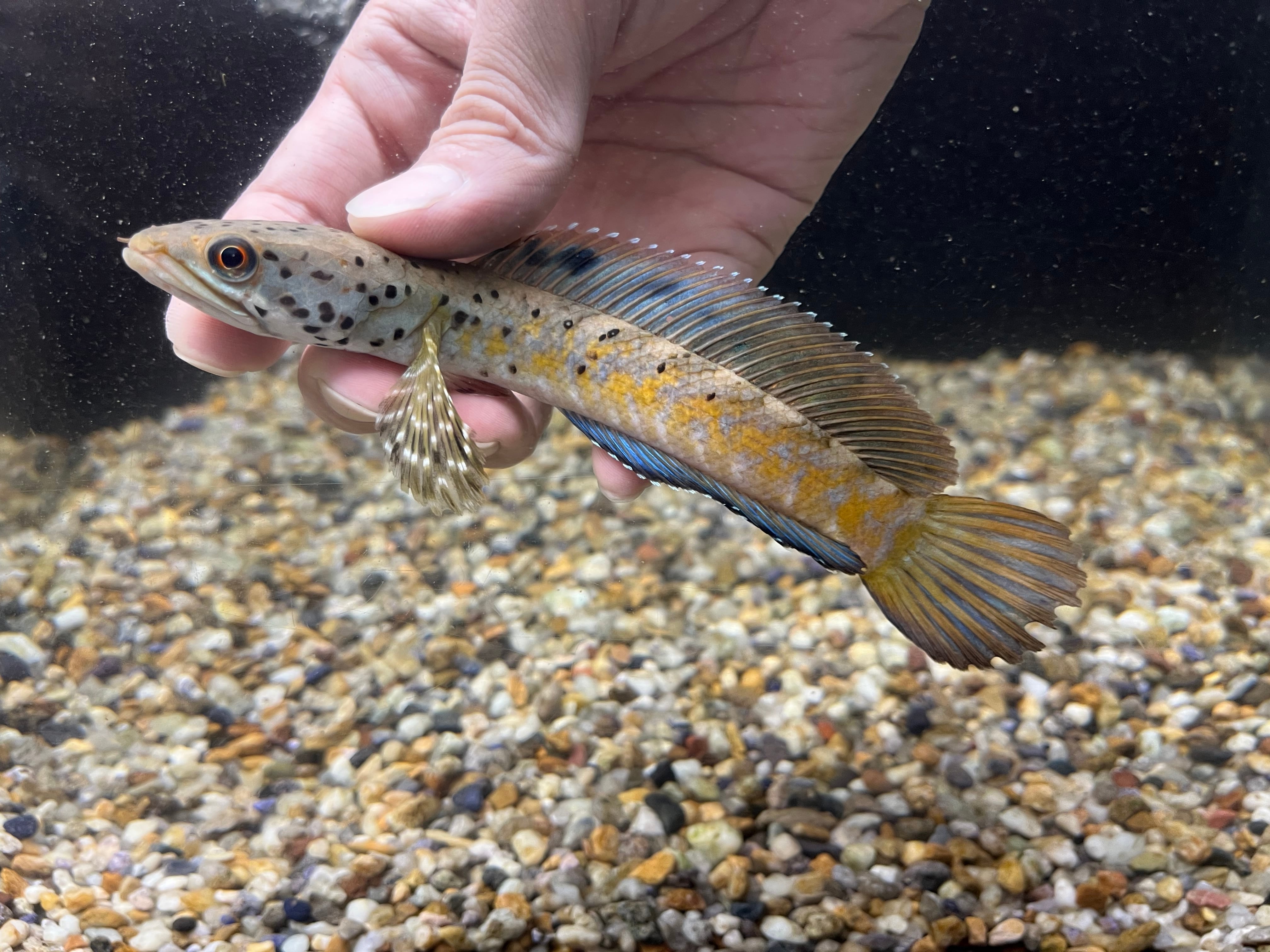 df29d09a7e03b8c598d141b7a02592