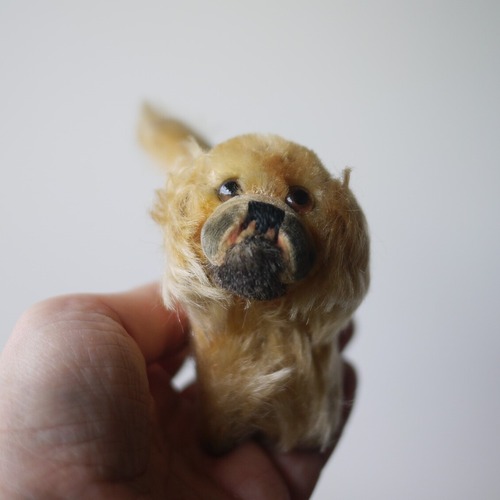 シュタイフ ペキニーズ犬 Peky　ドイツ