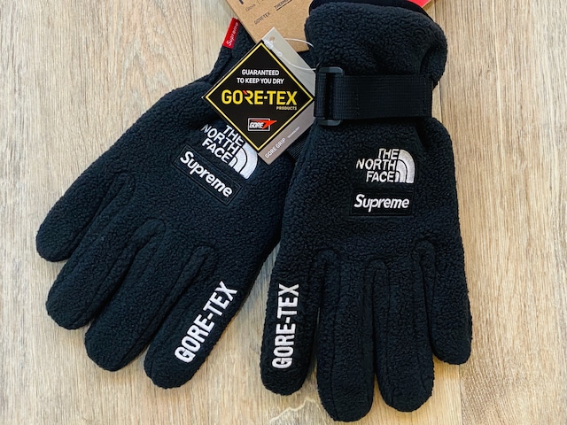 SUPREME 20SS THE NORTH FACE RTG GLOVES BLACK MEDIUM 70JJ9747