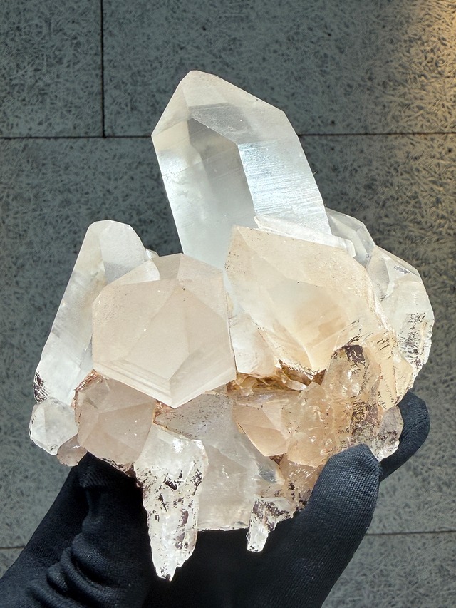 専用販売ページ【No.079】