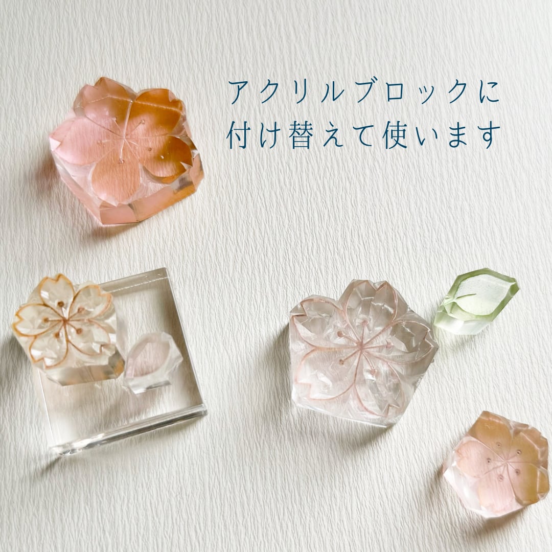 はんこ ハンコ かわいい 桜 さくら サクラ 組み合わせ 透明 春 花咲く クリア アクリル 光 スタンプ 離弁花