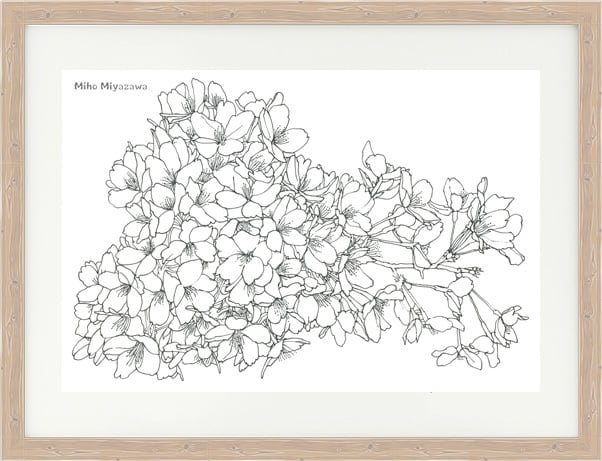 オリジナルイラスト原画：桜Drawing | 宮澤美穂 アートワークショップ