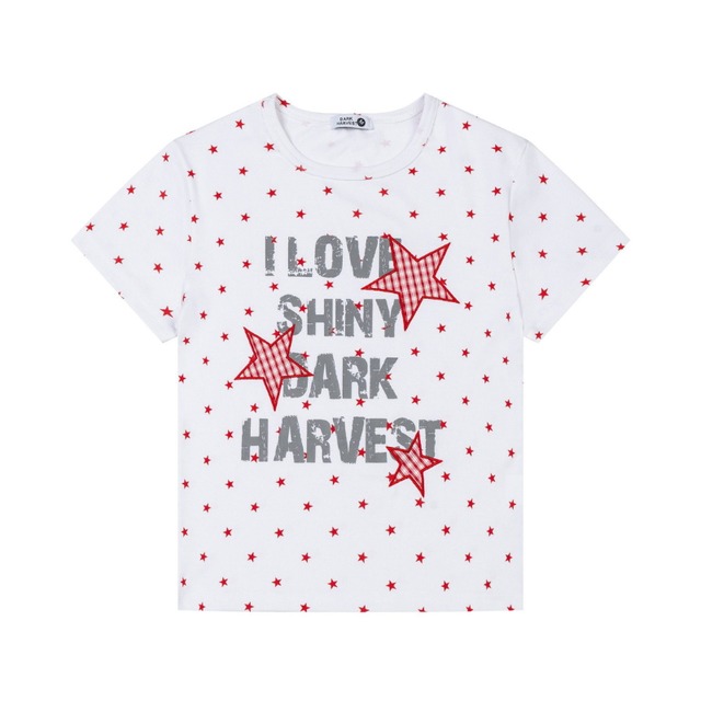 check star dot logo short-sleeve tee　チェックスタードットロゴ半袖ティー　J1823