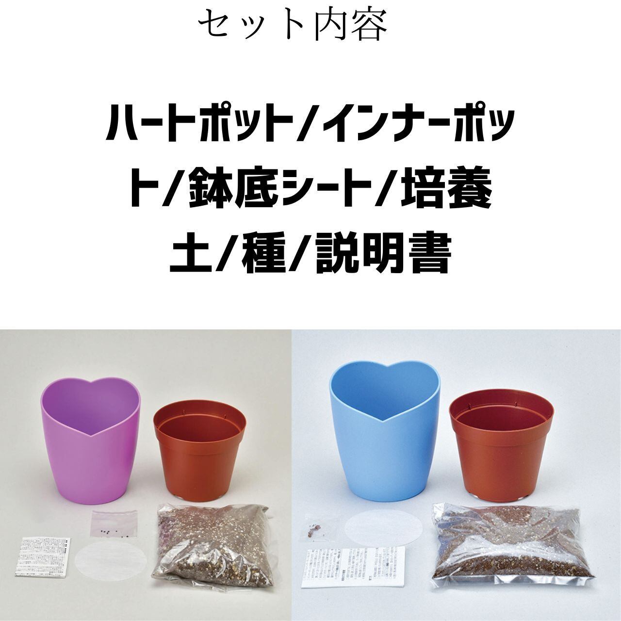 栽培キット 聖心陶芸 お家で栽培セット（ネモフィラ/ビオラ/枝豆）室内