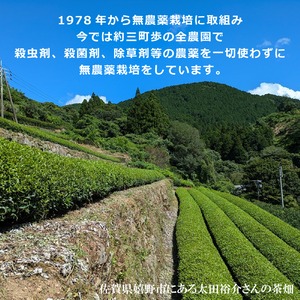 無農薬栽培の嬉野茶 特選蒸製玉緑茶（1号）【50g】