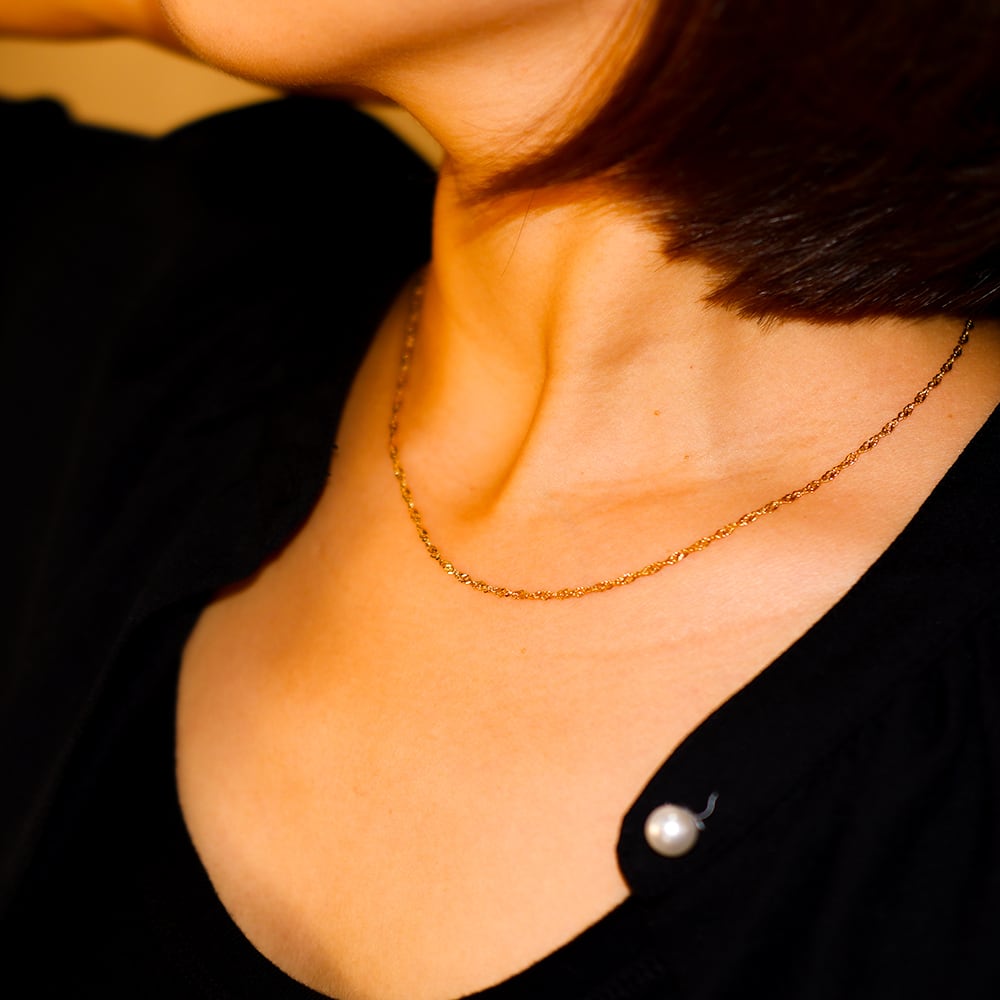 【年始セール】Bohemian resort ボヘミアンリゾート スネーク ネックレス プレート ステンレス 金属アレルギー対応 インスタ jyx36