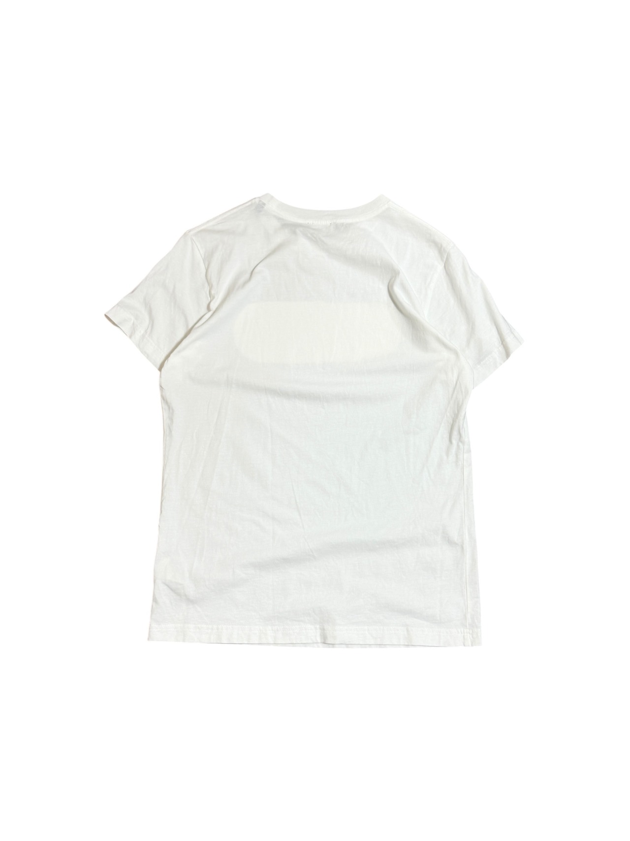 DIESEL カプセルデザイン Tシャツ