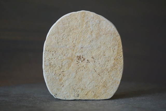 デンドライト 忍石 Dendritic limestone 1305