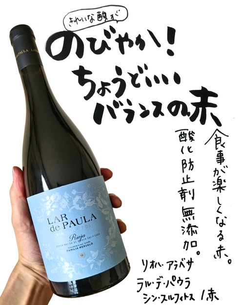 ※ご予約済/完売※【赤・ミディアム】ラル・デ・パウラ・シン・スルフィトス