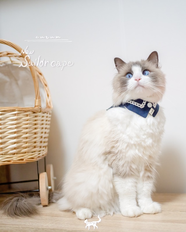 受注制作【curum】New sailor cape -navy-〔お名前item〕