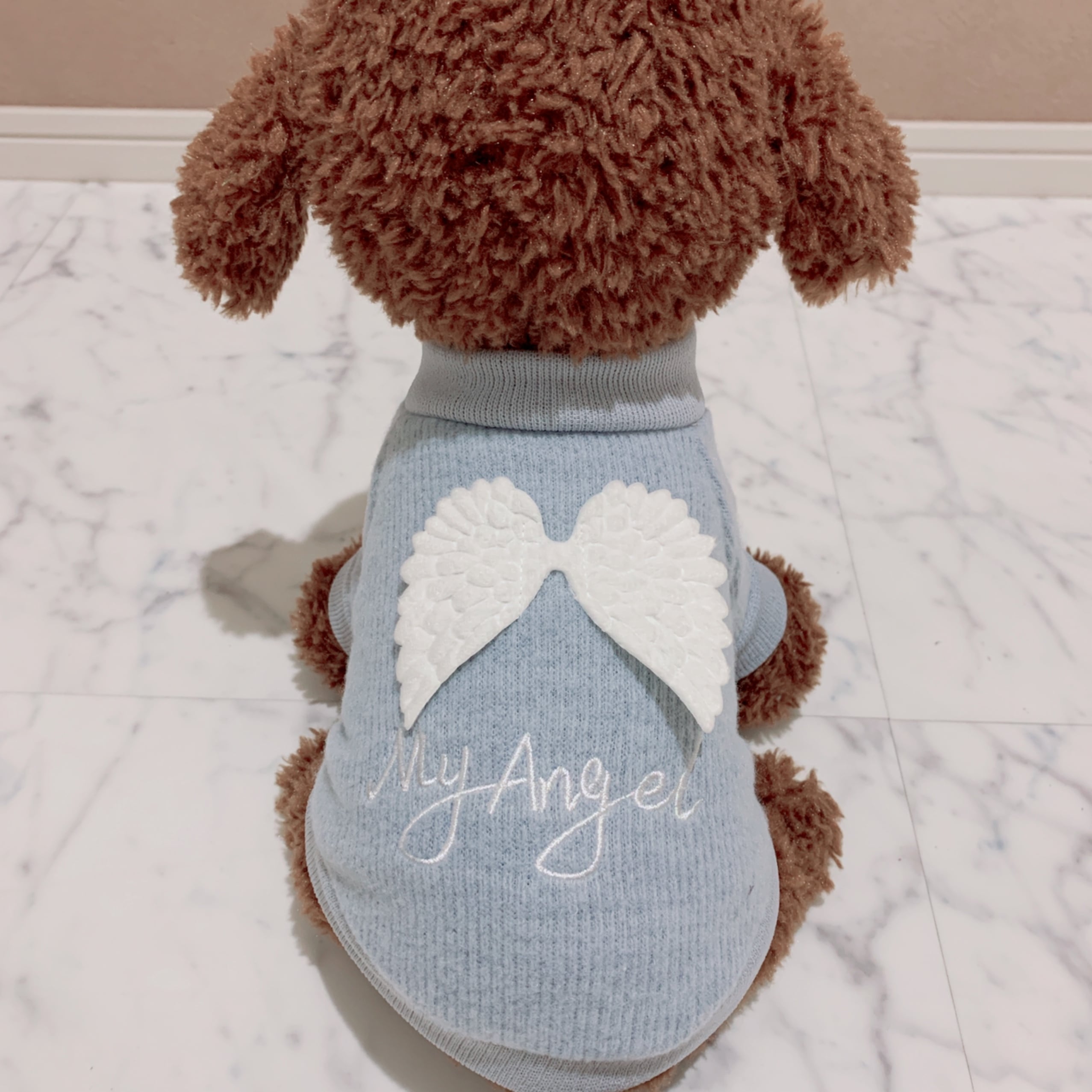 瑠璃福犬ペア 瑠璃福犬ペア