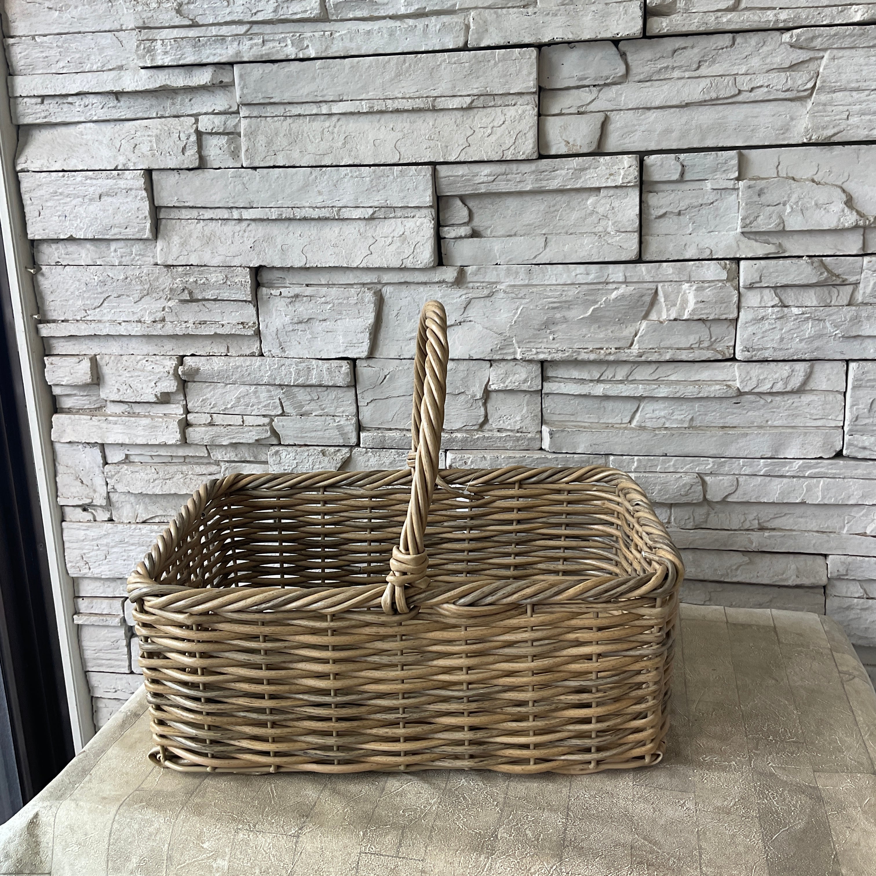 送料無料】【souju】香川県産オリーブの木 9寸鉢 ⑤ | 橋本種苗園 送料無料】【souju】香川県産オリーブの木 9寸鉢 ⑤ | 橋本種苗園