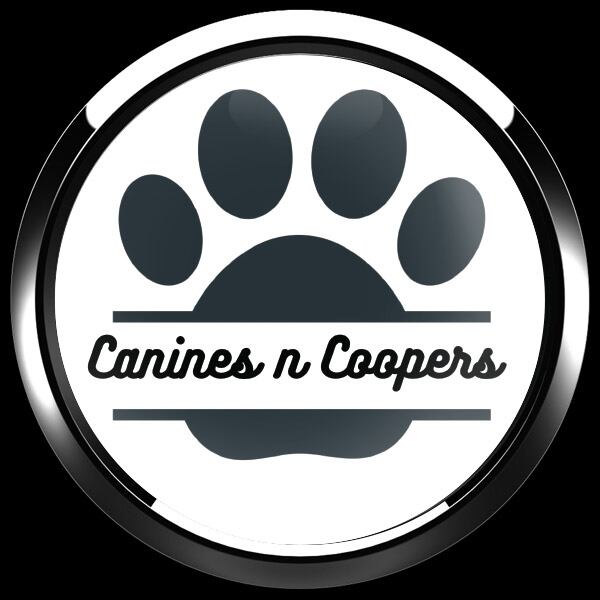 ゴーバッジ(ドーム)（CD1127 - CLUB CANINES N COOPERS） - 画像3