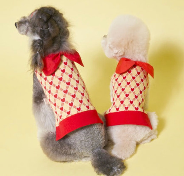 【SALE】 big ribbon knit vest S ~ 2XL 2color  /  犬服 春夏 新作 ドッグウェア ニット ベスト 可愛い 犬の服 袖なし お揃い